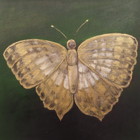 Golden Butterfly by artist Jessica Greenwood